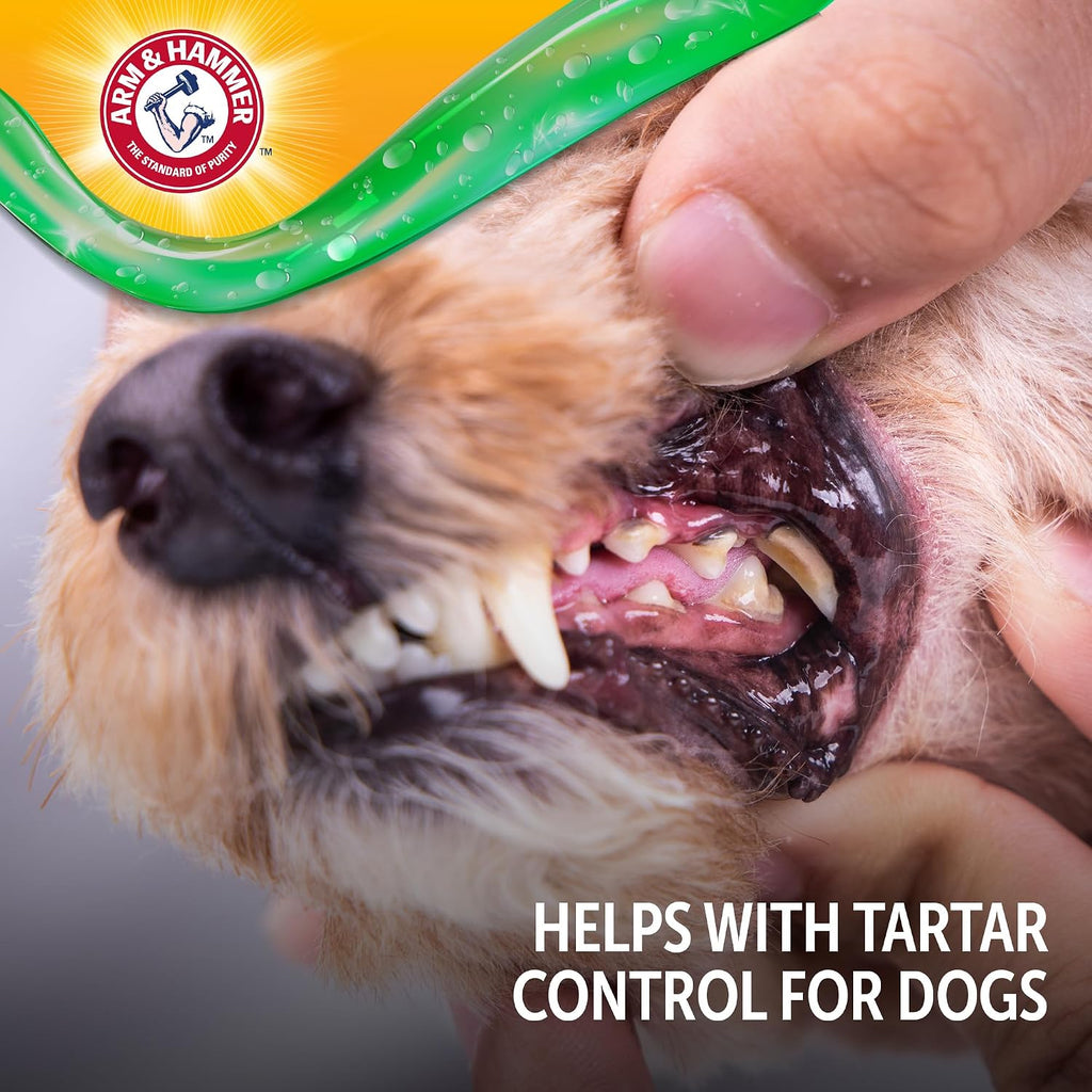 Non toxic fluoride free dog toothpaste peanut butter flavor on finger