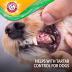 Non toxic fluoride free dog toothpaste peanut butter flavor on finger
