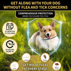 4 pack dog flea treatment for small and large breeds