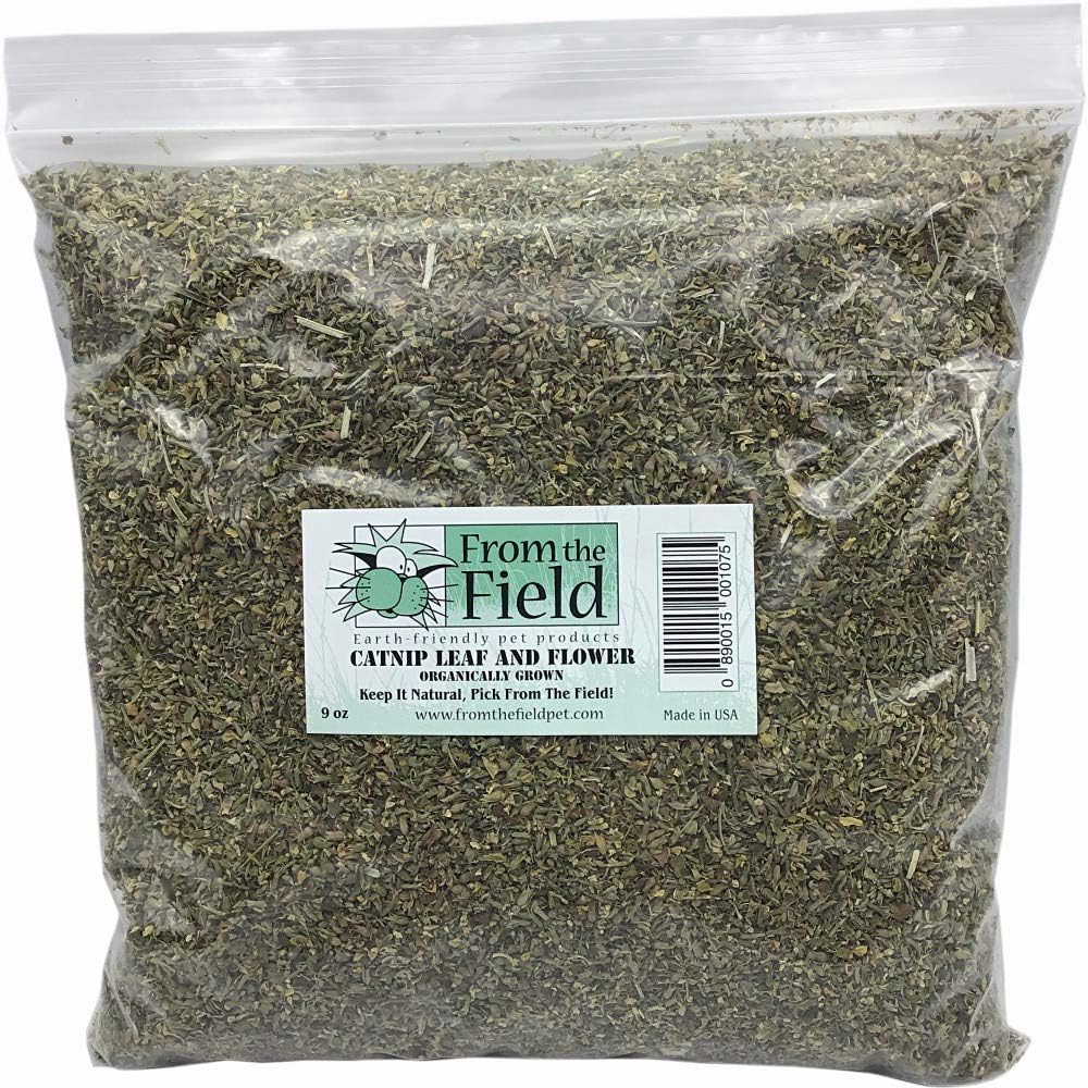 All natural USA grown catnip dried herbs inside clear resealable jar for cats and kittens