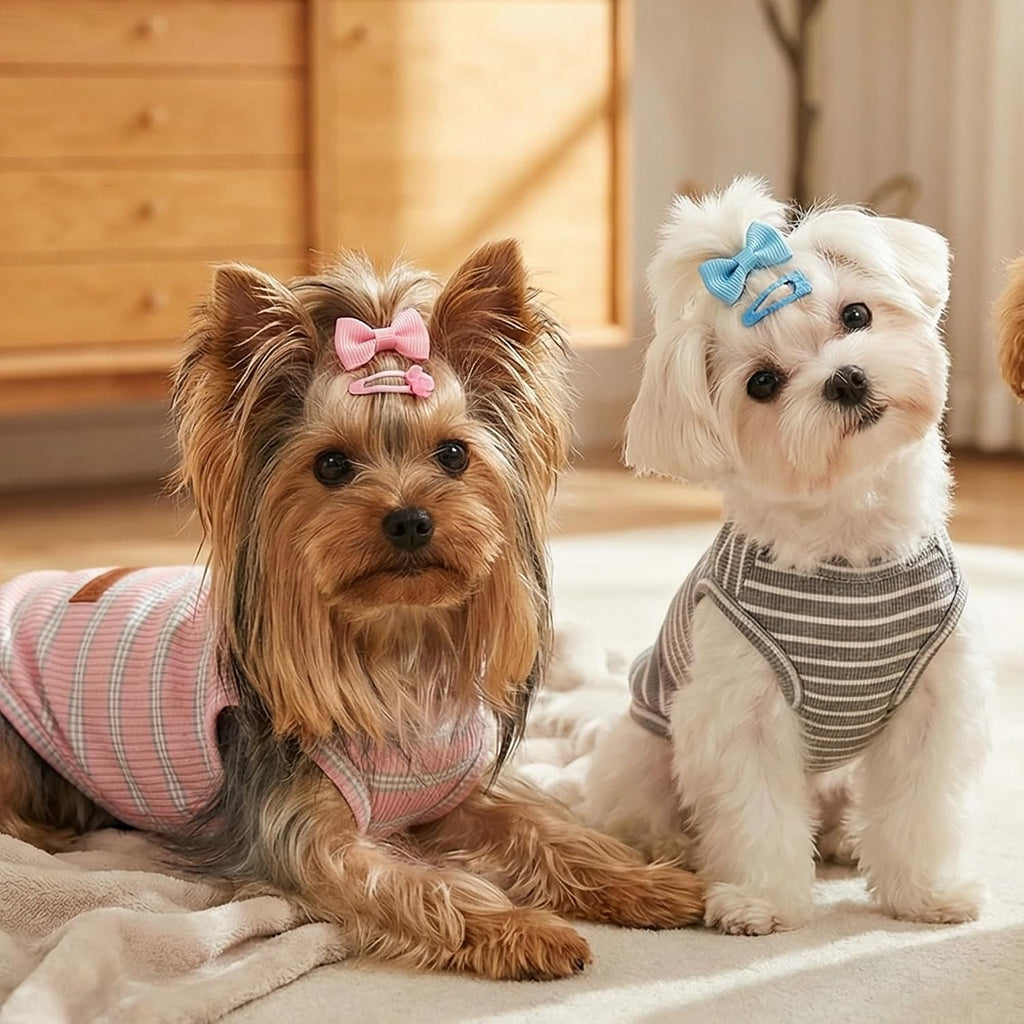 Puppy wearing soft cotton breathable pet vest
