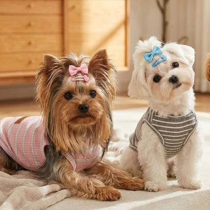 Puppy wearing soft cotton breathable pet vest