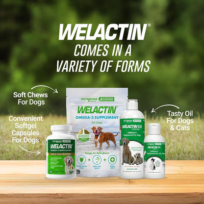 Veterinarian recommended Welactin canine 120 softgels supplement bottle close up.