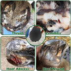 Water resistant cotton hoof tape shielding an equine sole from mud and outdoor stable debris.