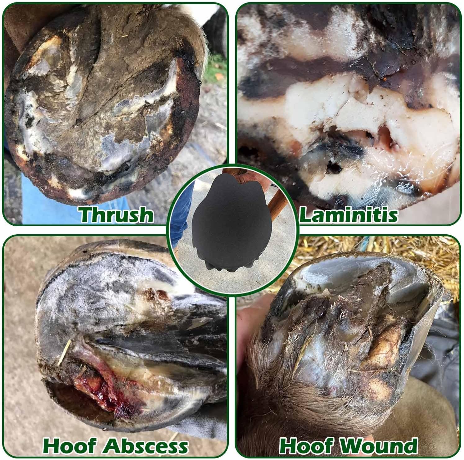 Water resistant cotton hoof tape shielding an equine sole from mud and outdoor stable debris.