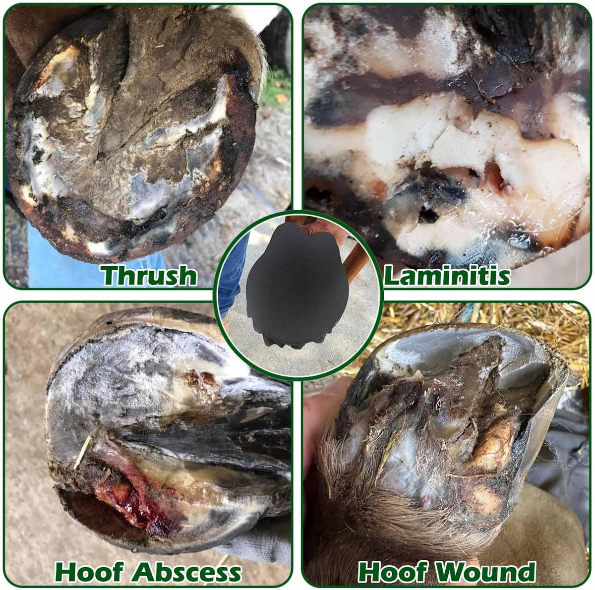 Water resistant cotton hoof tape shielding an equine sole from mud and outdoor stable debris.