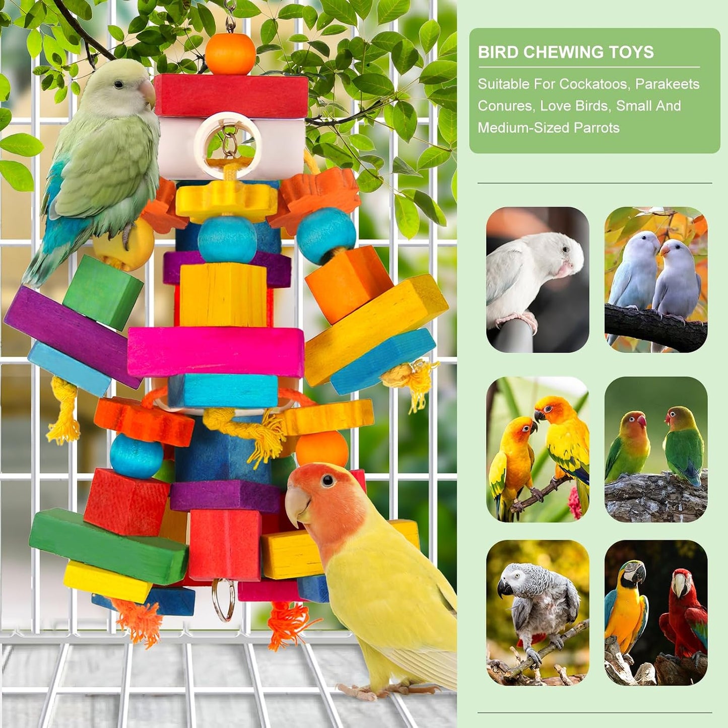Close up view of the foraging tubes on the Kyouki large bird toy.