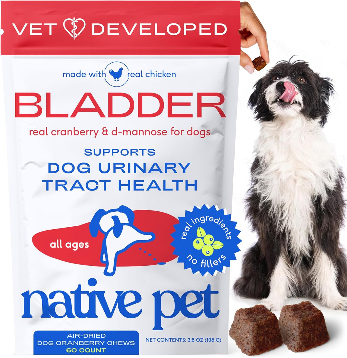 Native Pet Dog Cranberry Supplement front packaging showing 60 bladder chews for canine urinary health.