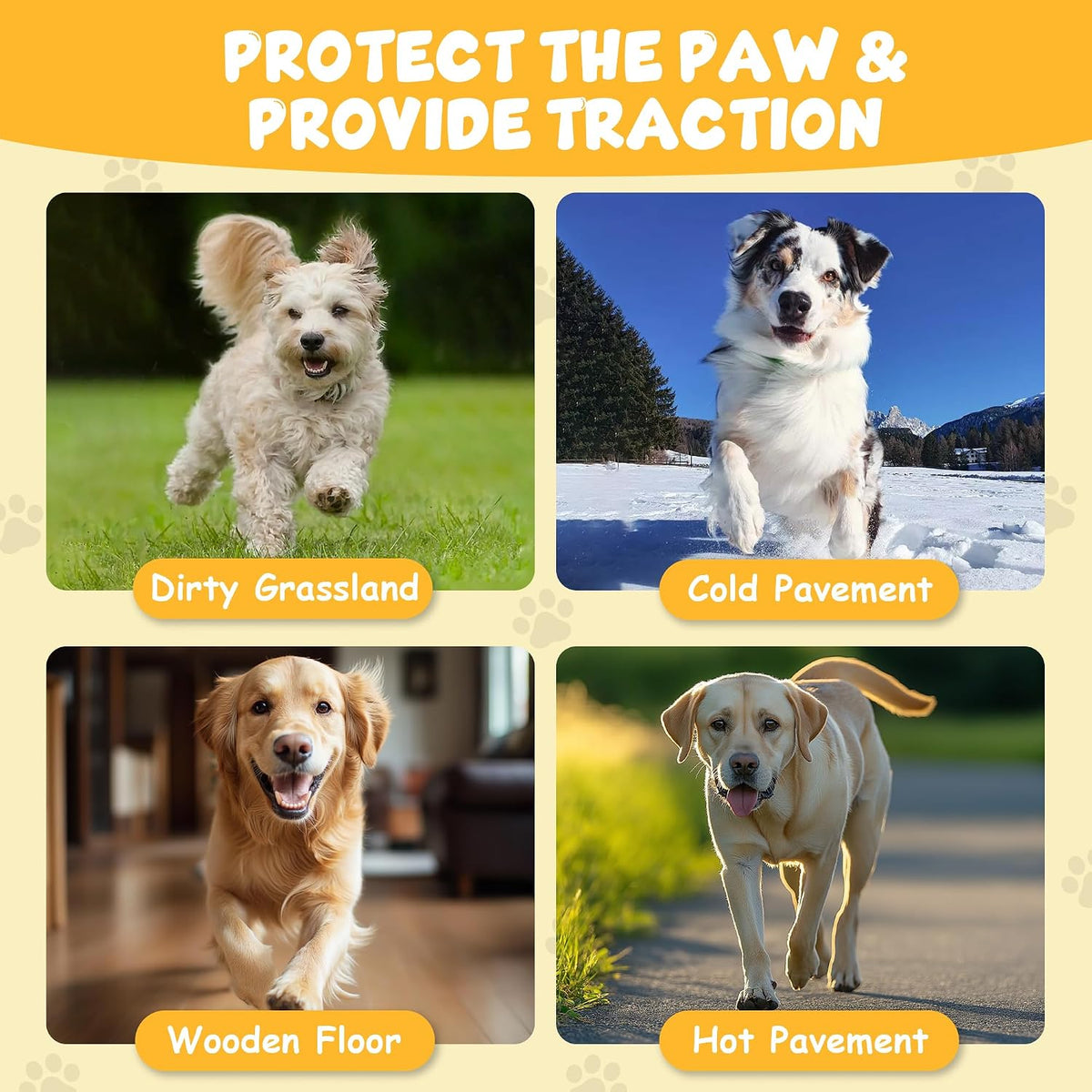 Close up of Dapaw non-slip paw stickers for dogs