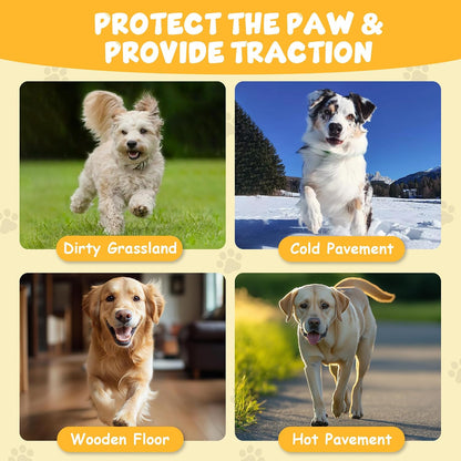 Close up of Dapaw non-slip paw stickers for dogs