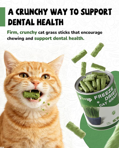 Premium chicken liver and heart cat treats crumbled food topper