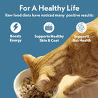 Fresh Is Best chicken recipe cat food rehydration demonstration
