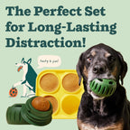 Woof interactive dog toy showing the fillable center for treat insertion
