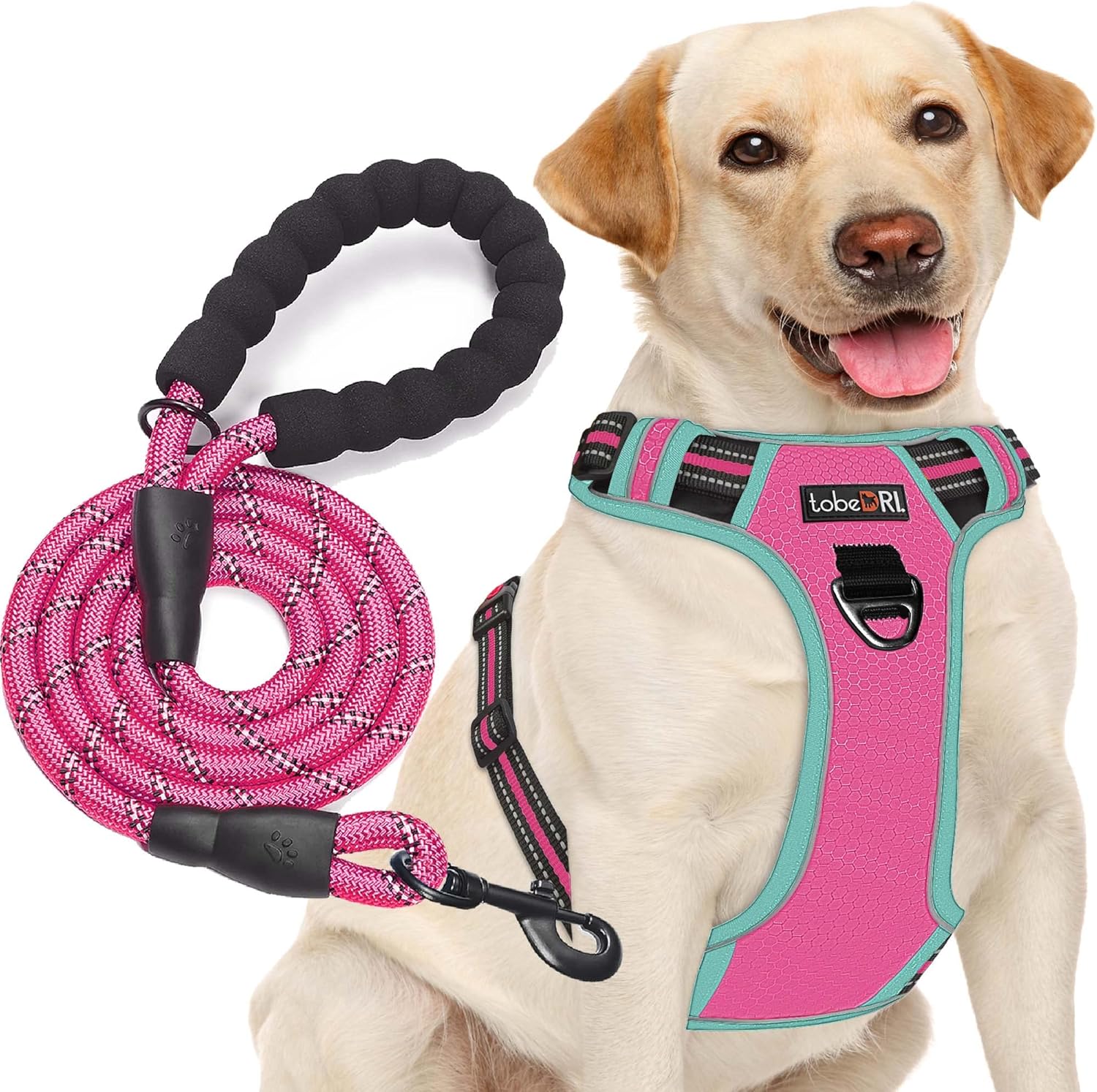 tobeDRI No Pull Dog Harness Adjustable Reflective Oxford Easy Control Medium Large Dog Harness with A Free Heavy Duty 5ft Dog Leash - Image 10