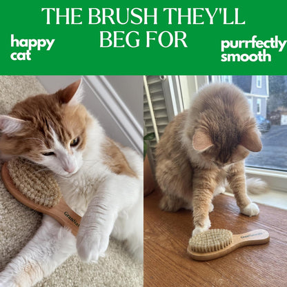 GranNaturals cat brush close up of the natural bristles designed for gentle detangling.