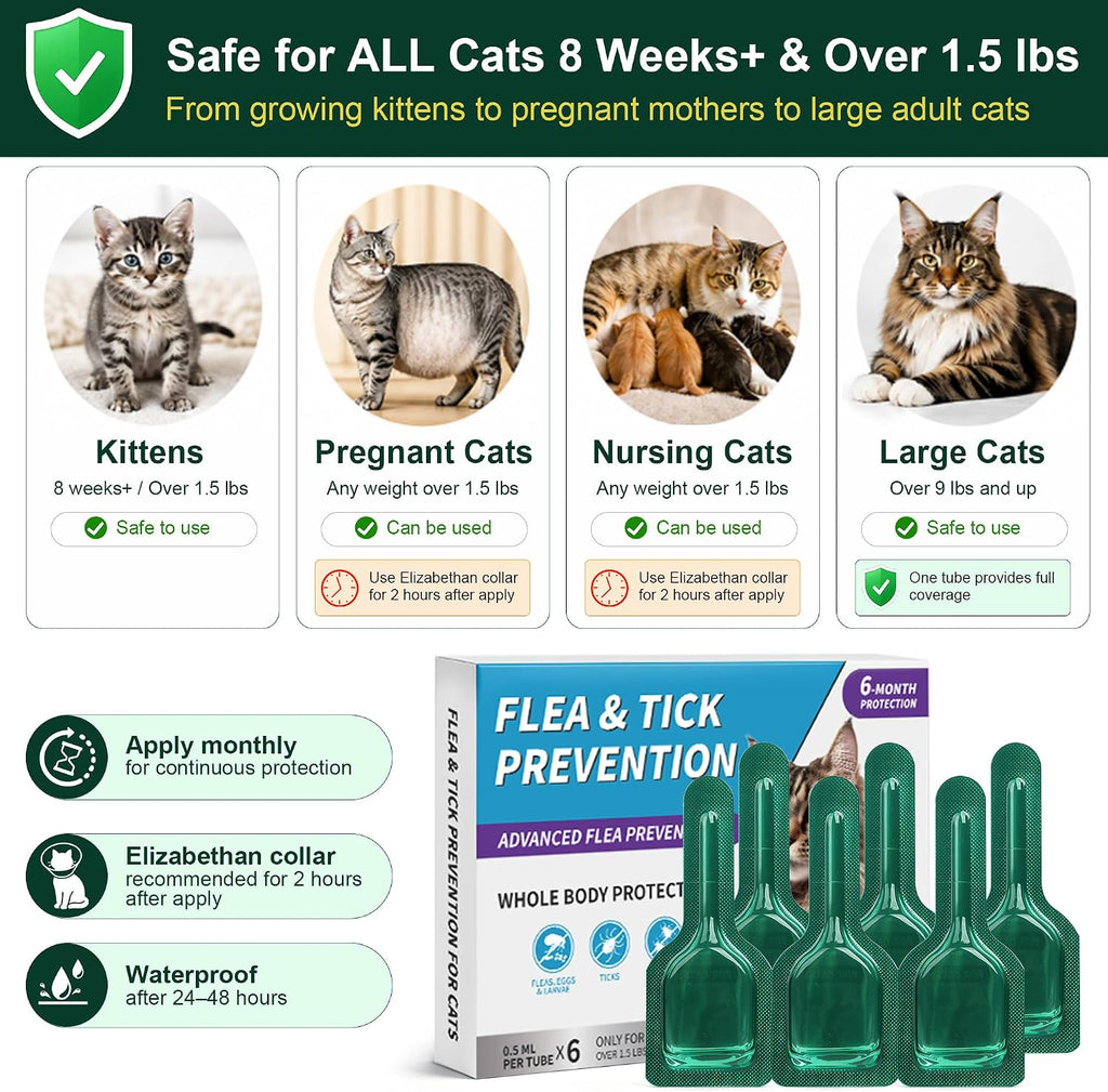 Six dose pack of imported PetArmor cat flea protection liquid