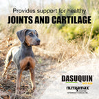 Nutramax Dasuquin 84 count chewable tablets supplement label details
