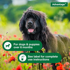 Detailed view of Advantage dog flea spray usage instructions label