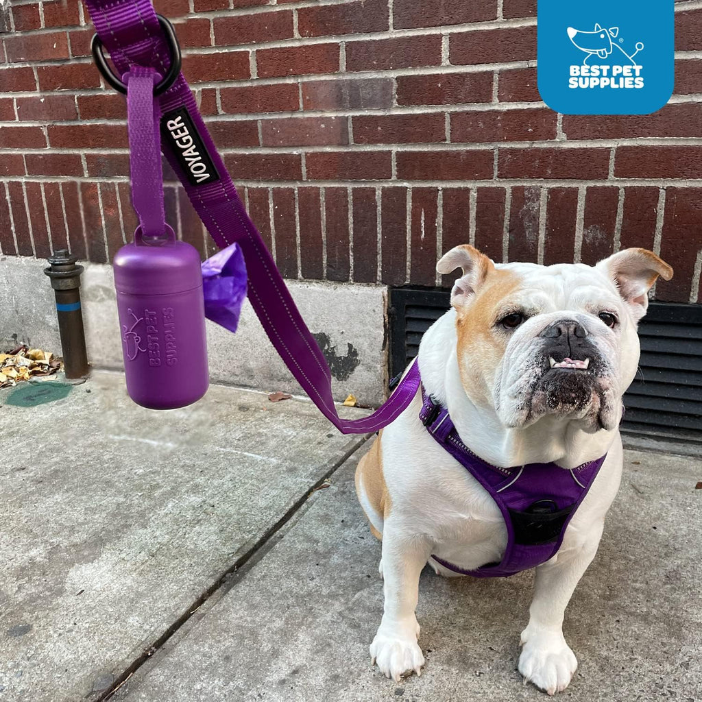 Imported durable pet waste bag holder with clip on attachment for outdoor travel.