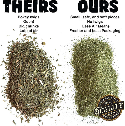 Shade dried North American pure catnip fine texture close up look