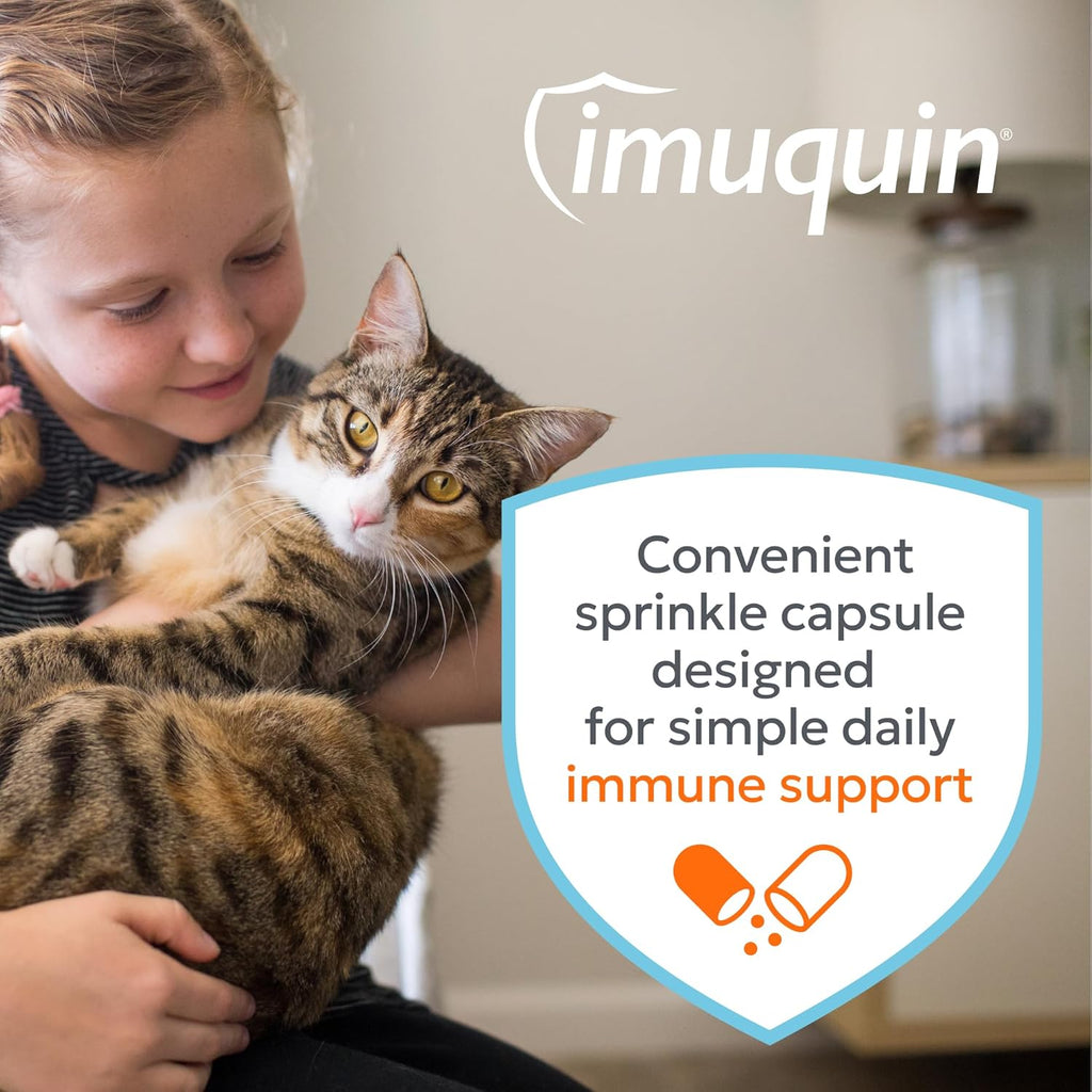 Prebiotic and antioxidant formula for kitten and adult cat wellness
