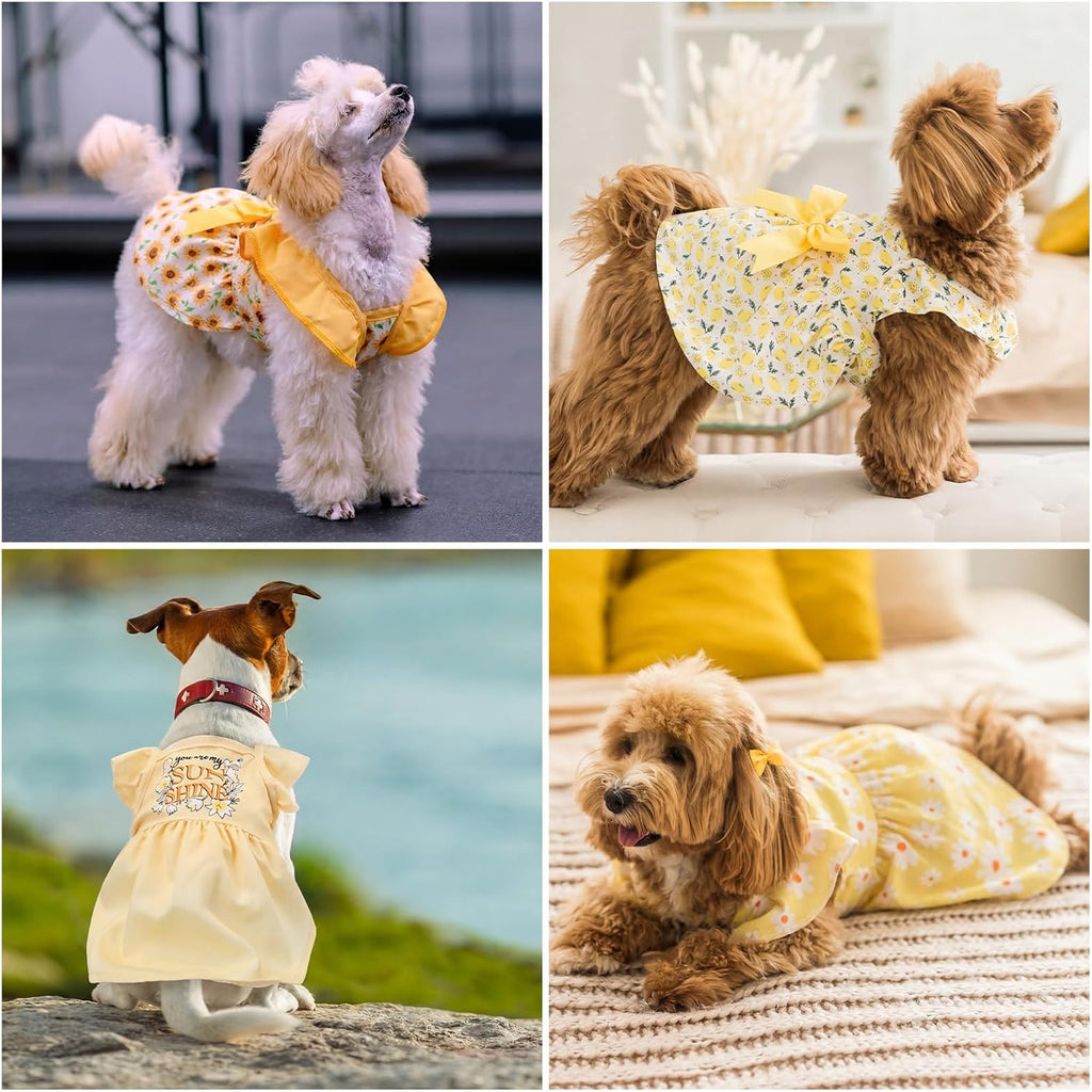 Close up details of the durable stitching and colorful bowknot on Abbylike dog dress.