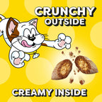 Temptations adult cat treats resealable lid feature