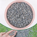 Cjgq natural river rocks pebbles front view for home gardening