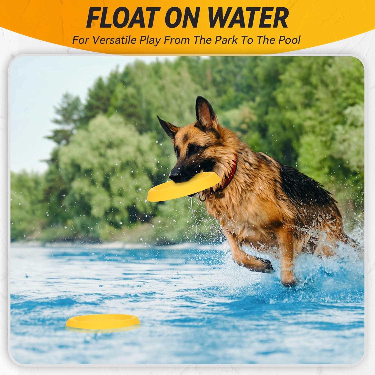 Dog playing with yellow Fusoto foam disc in park