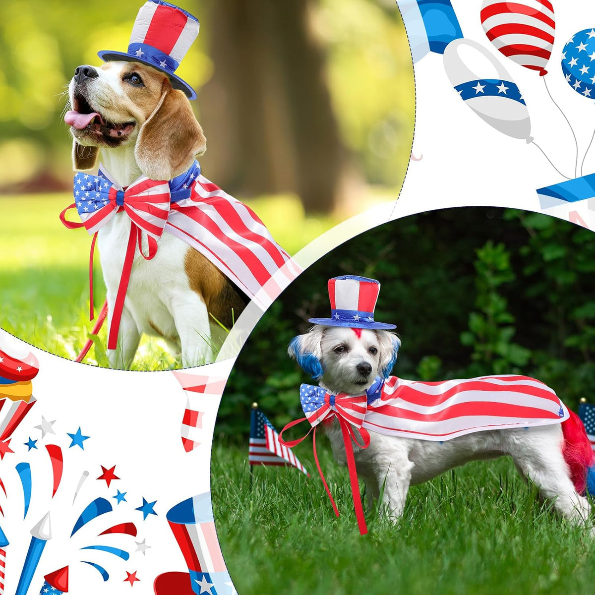 Small dog wearing full Fourth of July Uncle Sam costume set