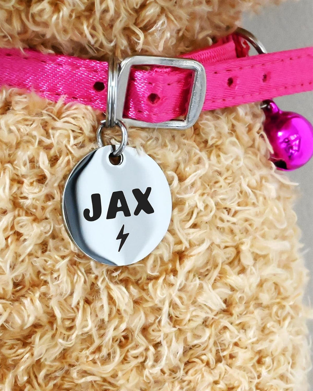 Extra small round engraved metallic name disc for cats and toy breeds.