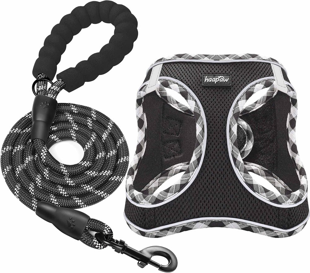 Haapaw small medium dog harness set with padded handle rope leash