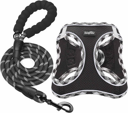 Haapaw small medium dog harness set with padded handle rope leash