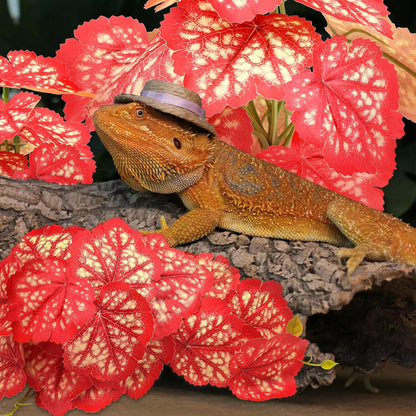 Quozuo 2 pack reptile habitat accessories installed in tank
