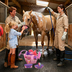 High-quality nylon bristle brush from the imported equestrian care kit.