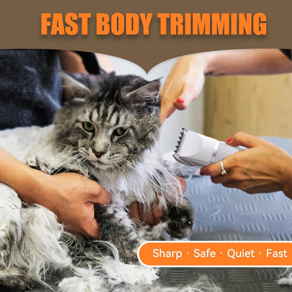 Bautrium heavy coat butt shaver and detail trimmer attachments side by side
