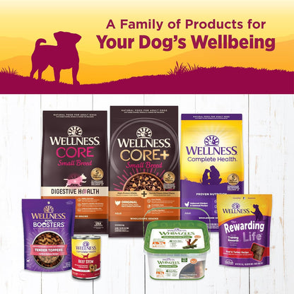 Wellness Complete Health Petite Entrees three ounce cups display for small adult dogs