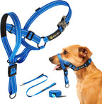 Reflective material demonstration on Zevey headcollar