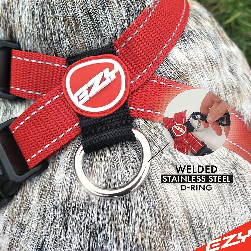 EzyDog dog harness featuring the rust-proof welded D-ring leash attachment.