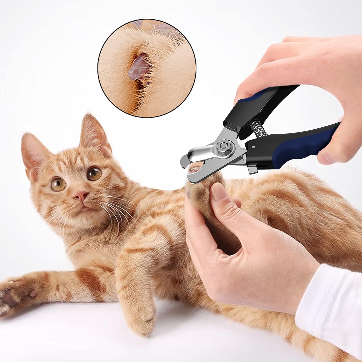 Close up of Perperqer dog nail trimmer safety guard feature