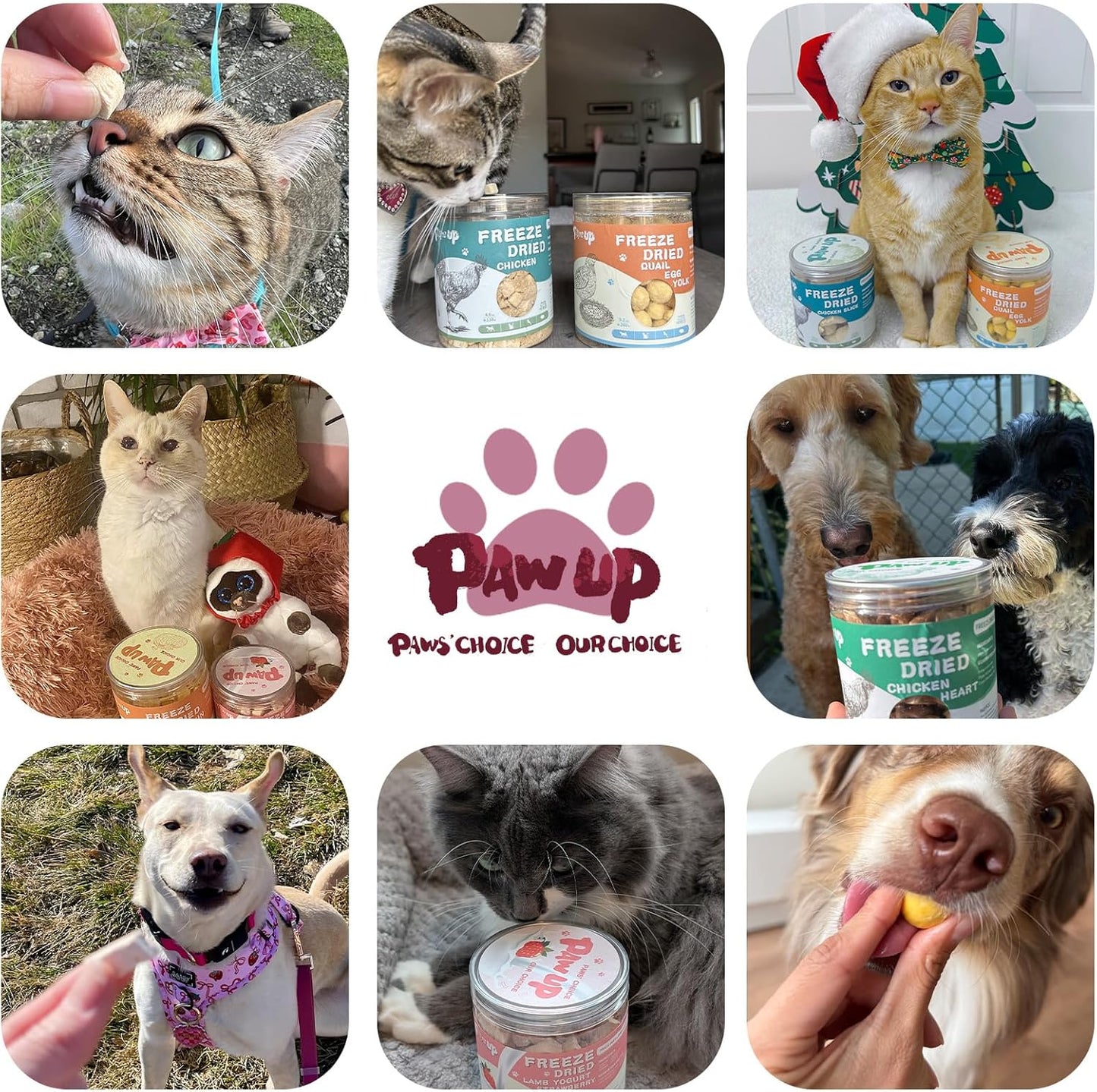 PAWUP holistic raw duck breast treats being fed to a pet as a high value training reward