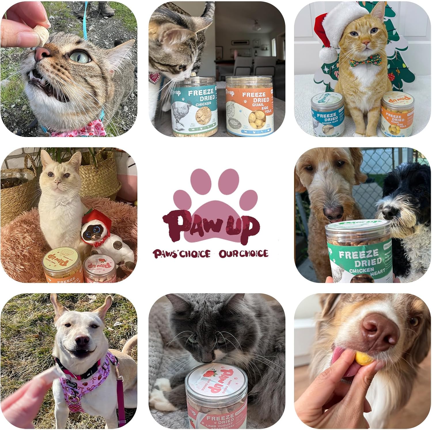 PAWUP holistic raw duck breast treats being fed to a pet as a high value training reward