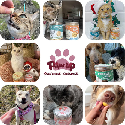 PAWUP holistic raw duck breast treats being fed to a pet as a high value training reward