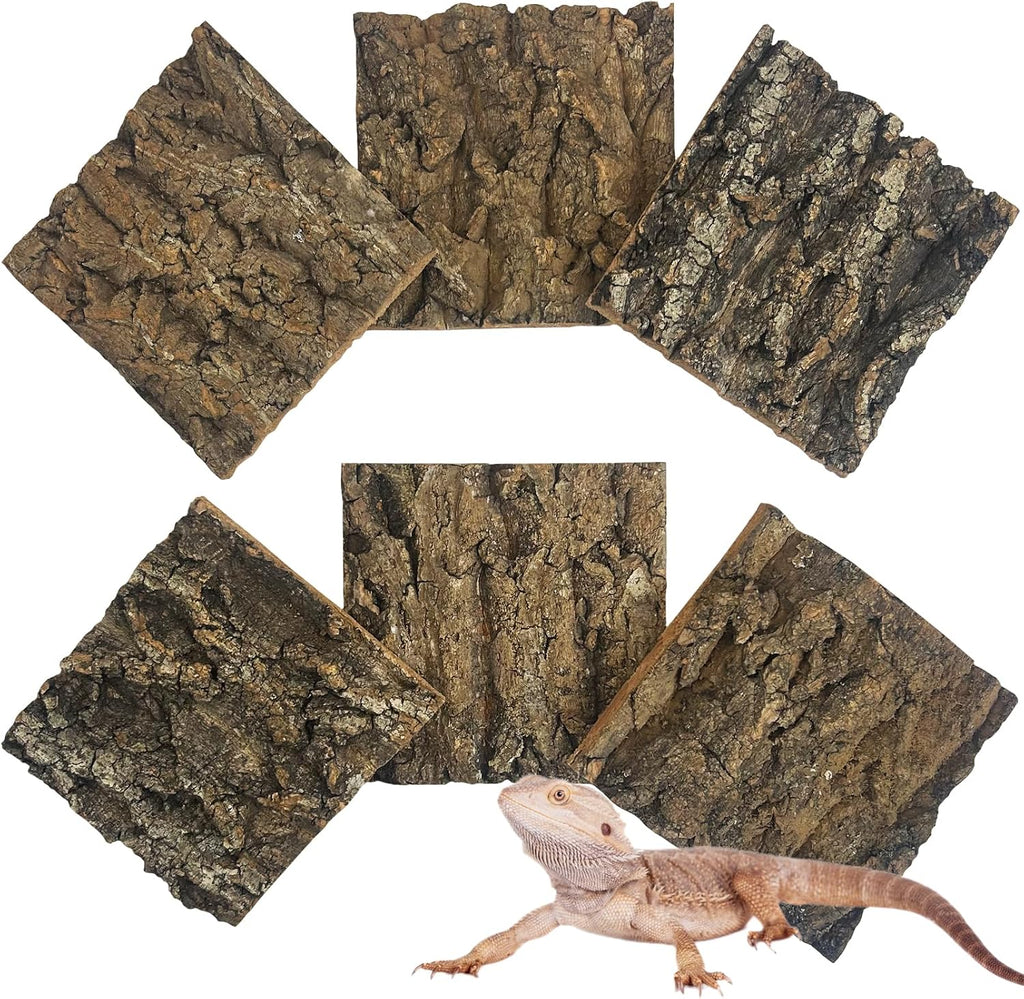 Apatal natural reptile cork bark background pieces displayed in a front view inside a clean reptile terrarium.