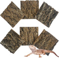 Apatal natural reptile cork bark background pieces displayed in a front view inside a clean reptile terrarium.