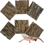 Apatal natural reptile cork bark background pieces displayed in a front view inside a clean reptile terrarium.