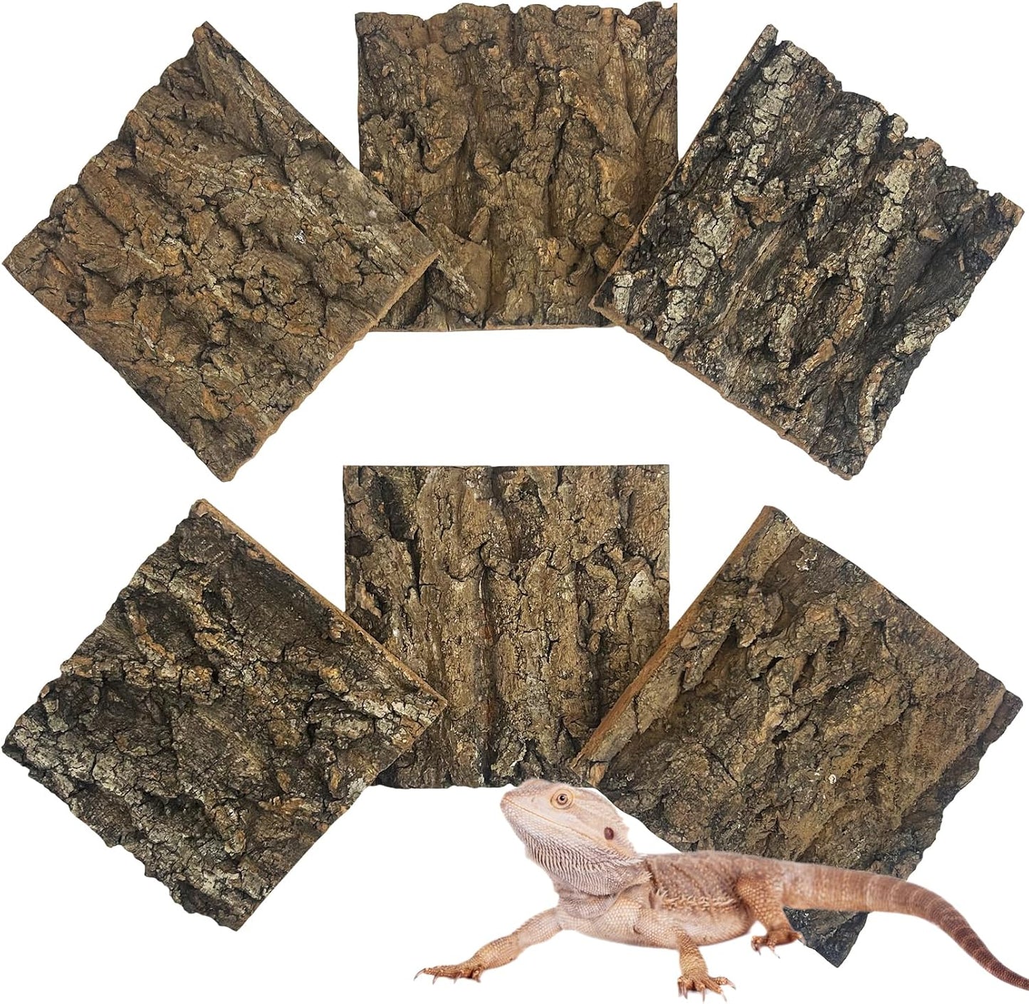 Reptile Cork Bark Bulk 2 Lb Cork Wood for Terrarium, Natural Flat Cork Bedding Terrarium Substrate for Bearded Dragon Snake Spiders Hermit Crabs Geckos Tortoise - Image 11