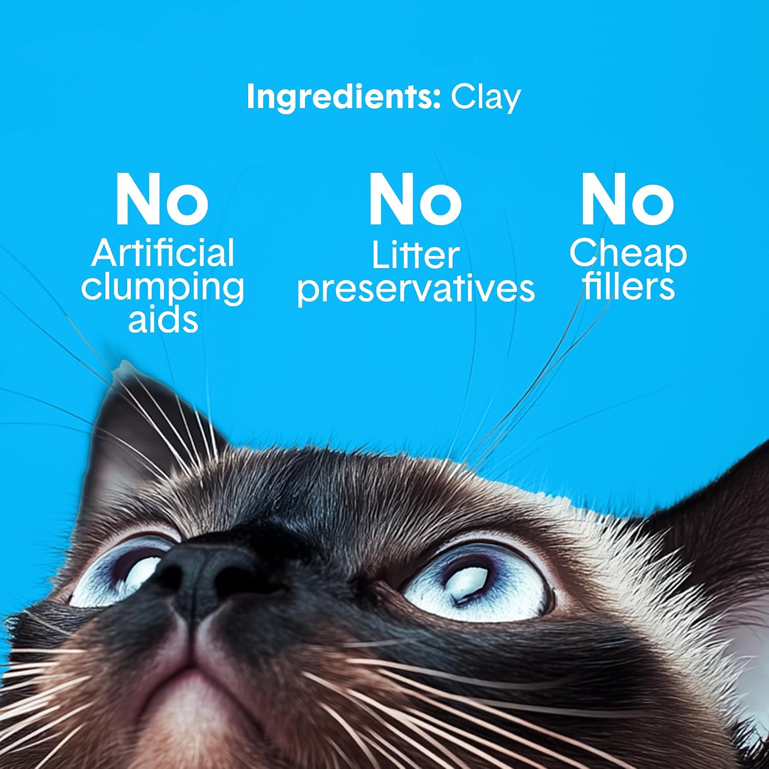 Close up of premium bentonite clay granules in Boxiecat packaging