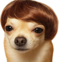 Mesinurs pet costume lion mane wig brown front view