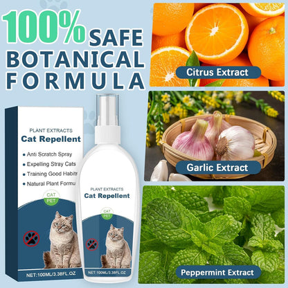 Gnaye natural cat anti scratch spray for sofas and carpets